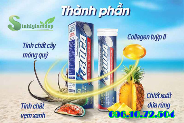 Thành phần viên sủi Boca