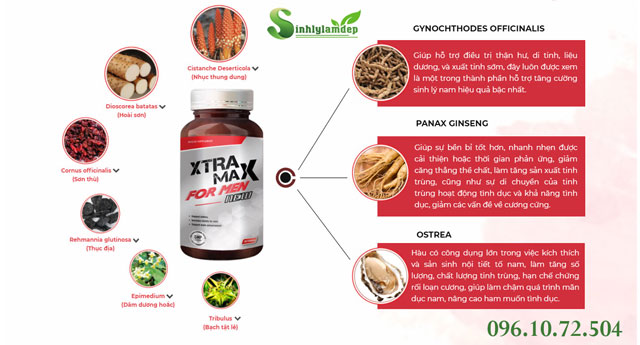 thành phần có trong sản phẩm xtramax for men