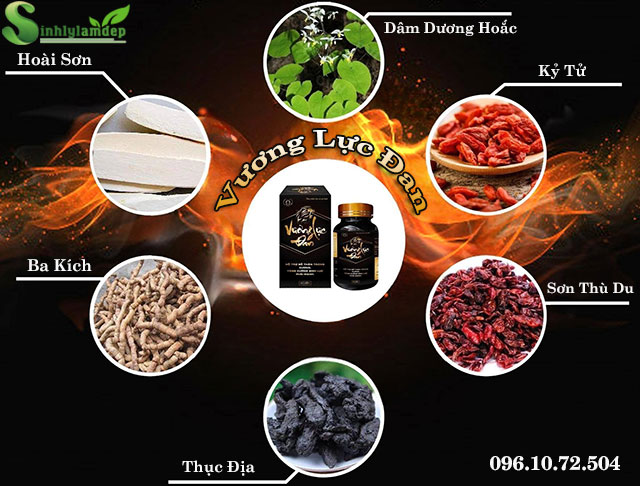 thành phần có trong sản phẩm vương lực đan