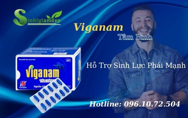 Viganam Tâm Bình Là Gì?