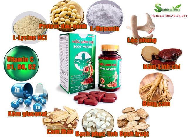 thành phần mộc linh chi