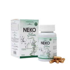 ảnh đại diện neko slim