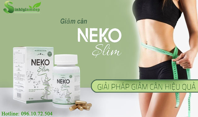 giới thiệu khớp neko slim