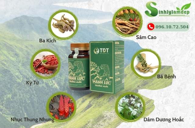 Thành Phần Chính Có Trong Mãnh Lực Trường Xuân