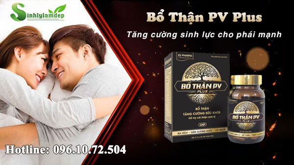 giới thiệu bỗ thận pv plus