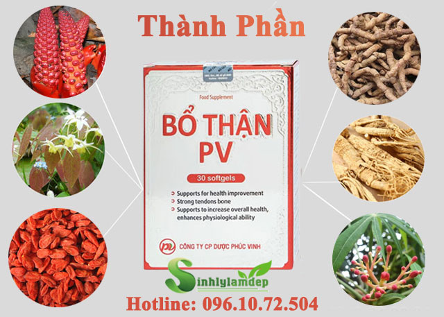 thành phần có trong bổ thận pv