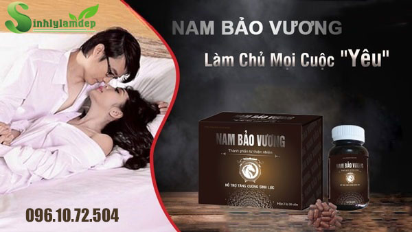 giới thiệu nam bảo vương