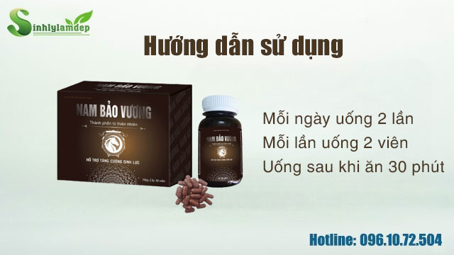 hướng dẫn sử dụng nam bảo vương