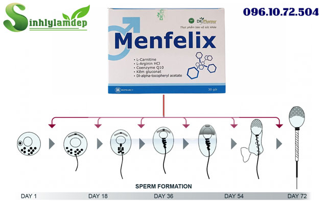 menfelix dùng trong bao lâu