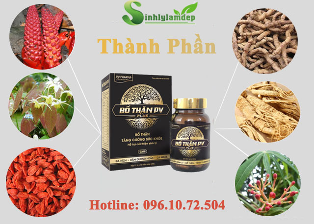 thành phần có trong bỗ thận pv plus