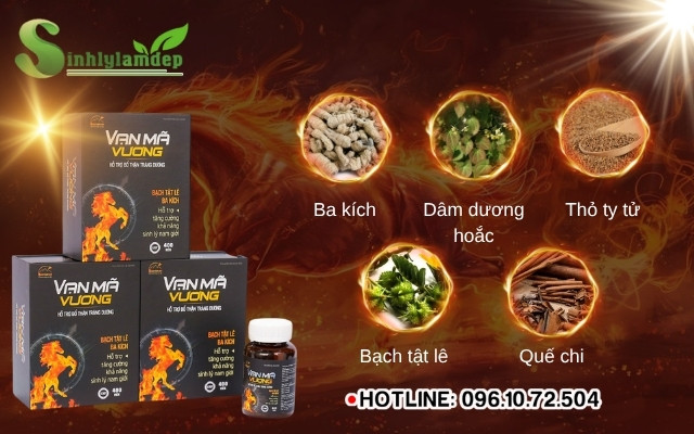 Giải mã các thành phần "vàng" trong Vạn Mã Vương