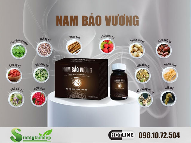 thành phần nam bảo vương