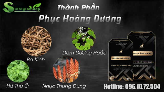thành phần phục hoàng dương