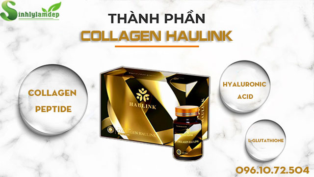 thành phần collagen haulink