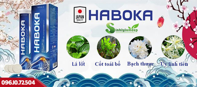 thành phần haboka