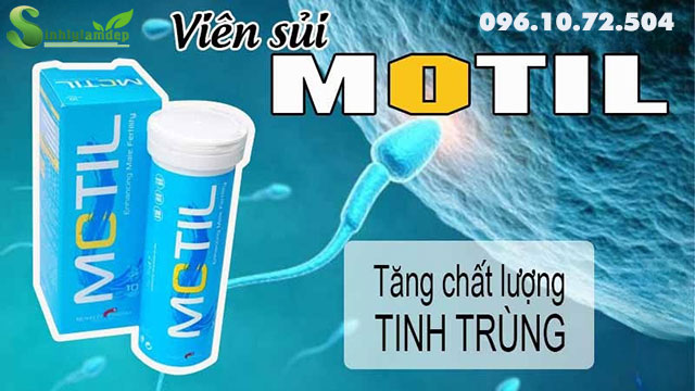 giới thiệu motil