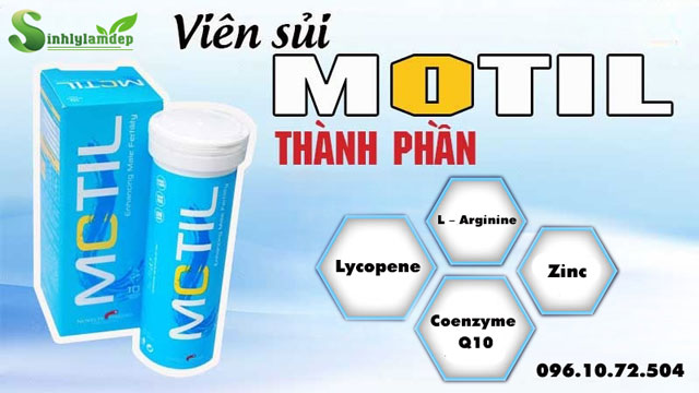 thành phần motil