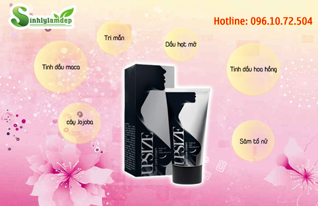 Thành phần của Upsize