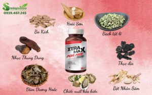 Bảng thành phần Xtramax For Men