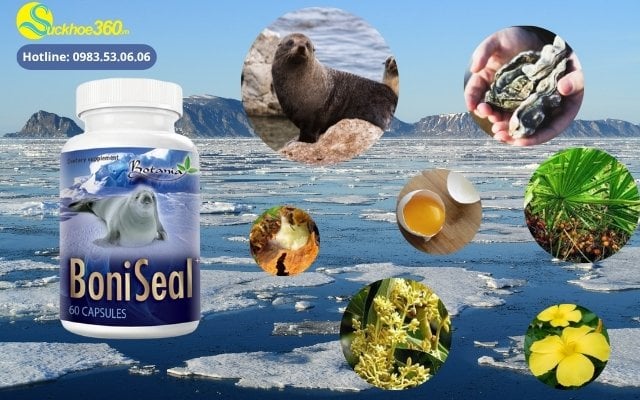 thành phần boniseal